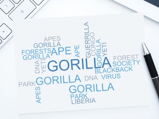 Gorilla