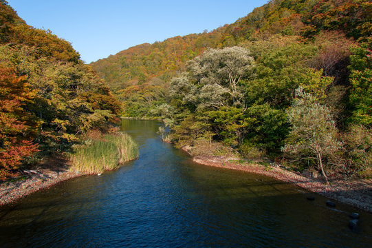 Idyllic nature of Oirase Gorge on a sunny day in fall, Aomori, Japan