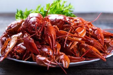 Plate of tasty boiled crayfish