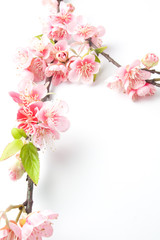 Fake sakura blossom on white