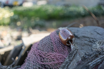 漁村の風景（網）