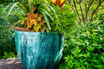 Large outdoor potted plant. Beautiful pot glazed in shades of bue and teal with assorted foliage plants.