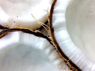 coconut pieces © jlmcanally