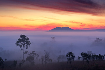 Misty Clouds beautiful Foggy forest during sunrise mountains