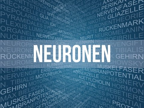 Neuronen