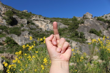 fuck you doigt d'honneur