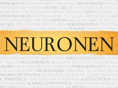 Neuronen