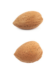 Single almond nut isolated