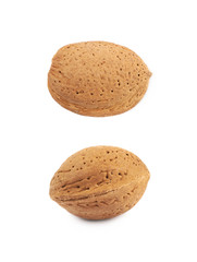 Single almond nut isolated