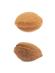 Single almond nut isolated