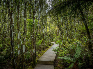 Orakei Korako, New Zealand