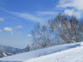 札幌国際スキー場