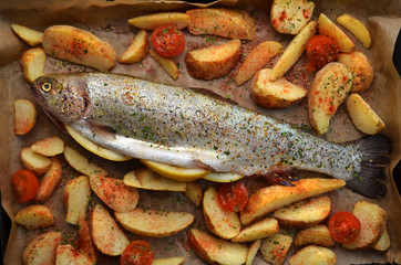 Roasted trout with potatoes in herbs.