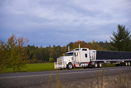 Professional reliable powerful popular Big rig semi truck and bulk trailer