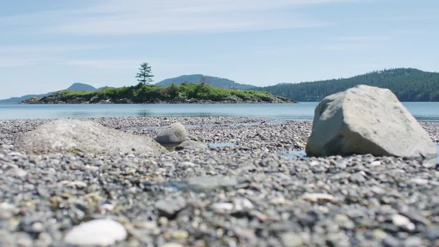 Orcas Island Stone Beach Waterfront Scene Bird Flying By Slow Motion Pull Focus