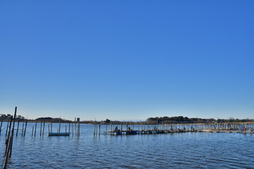 Morning view of Tatara Swamp in Winter. At Tatebayashi, Gunma, Japan. Tatara Swamp is famous in Japan.