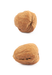 Single walnut isolated