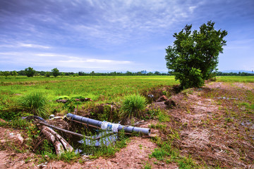 Landscape of field stubble and sunset sky