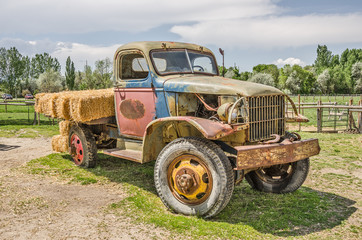 Truck of Many Colors