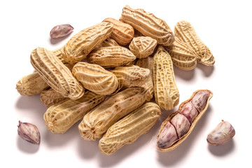 peanut on white background