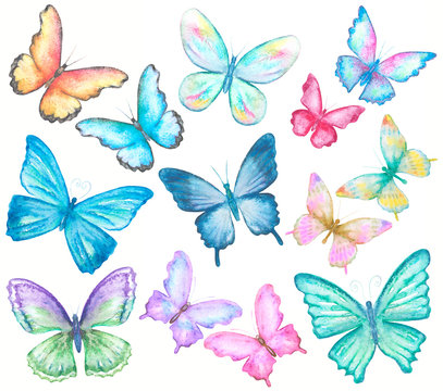 watercolor butterflies set on white