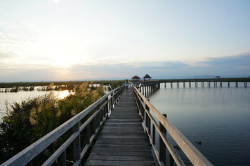 Obraz premium One lagoon has a wooden bridge spanning the middle of the lake,landscape