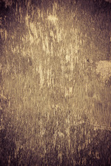 wood grungy background with space for your design