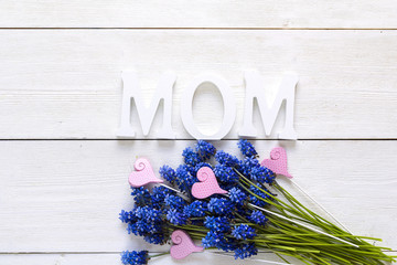 Mothers day background with with blue muscari flowers on white wooden background. Top view.