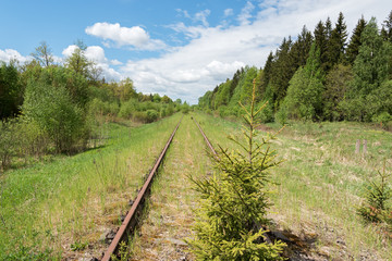 Obraz premium Abandoned railway in green landscape.