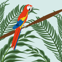 beautiful guacamaya over tropical palms, vector illustration
