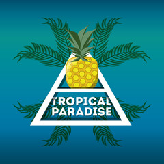 concept related with tropical fruits emblem, vector illustration