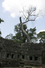Cambodia Angkor Watt