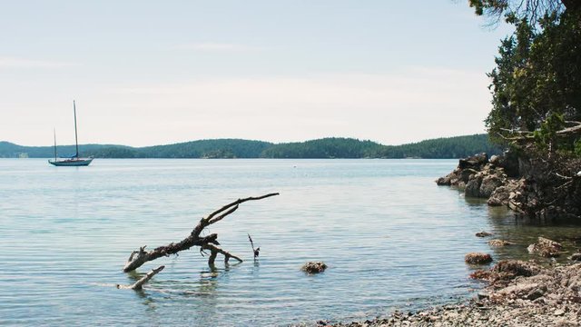 Orcas Island Scene Beach Sailboat Driftwood Log in Water Calm San Juan Islands Washington Titling Background
