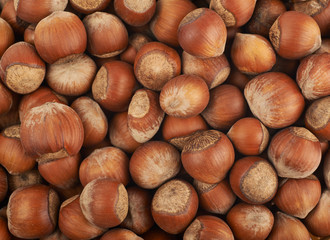 Surface coated with hazelnuts