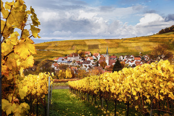Picturesque autumn countryside landscape with colorful vineyards and historic village. Black...