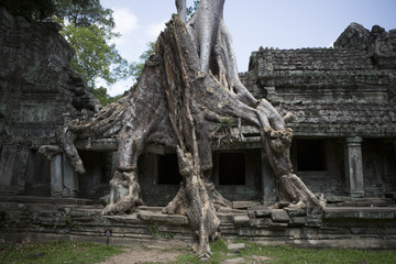 My Cambodia