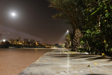 Street in the night and light