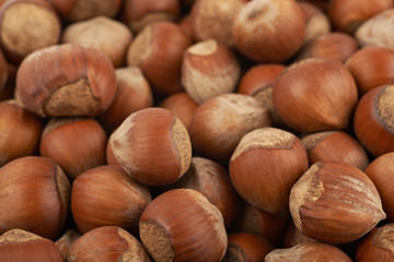 Surface coated with hazelnuts