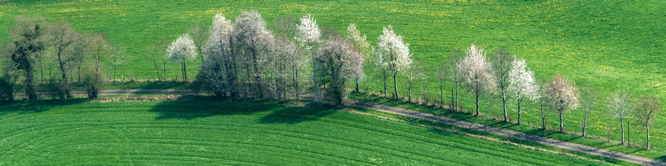 Vue aérienne, d'arbres en fleur près de Flers - 61