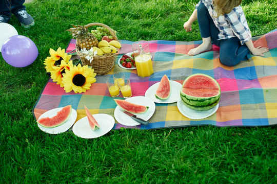 Still life with picnic outdoors