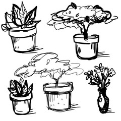Pots with rasteny. Drawing of plants. Bystry sketch of house plants