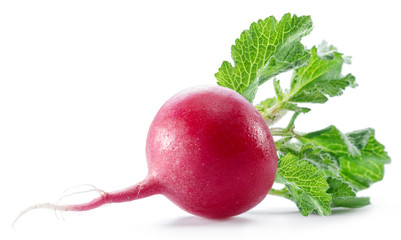 Red salad radish with leaves on the white background.