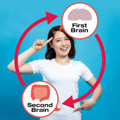 human brain and guts, second brain
