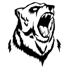 Isolated illustration of a bear's head