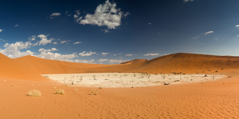 Panorama of the Dead Vlei salt pan