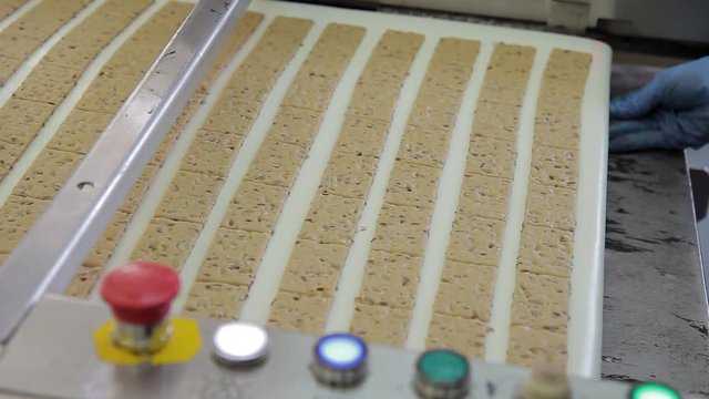Sweet biscuits moves along conveyor belt and picked up by worker in bakery. Appetizing pastries made from highest grade flour with addition of nuts and candied fruits and baked according to special
