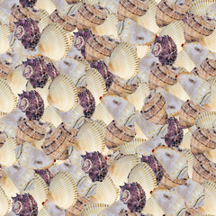 Seamless continuous background with seashells