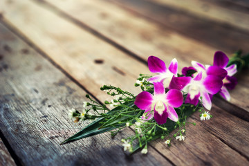 violet orchid flower on old wood background