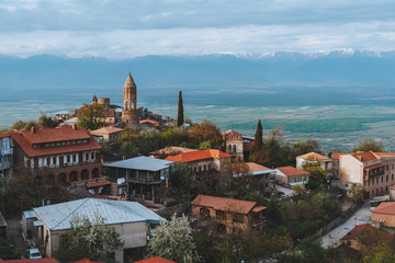 A city in front of the mountains