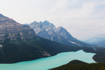 Peyto lake